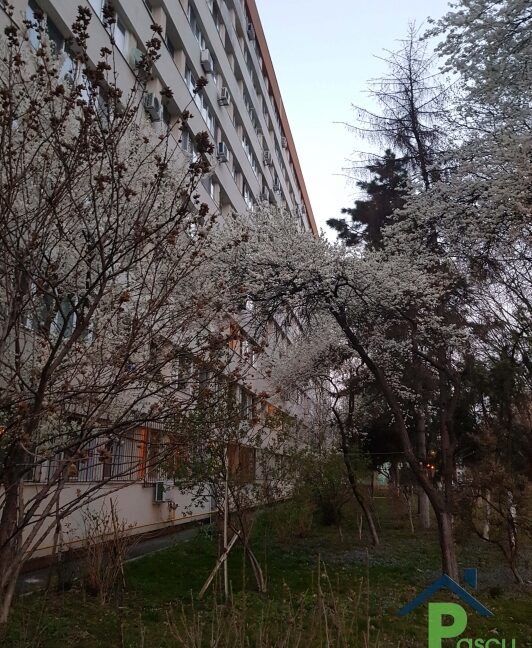 20190320_183504_1553182587