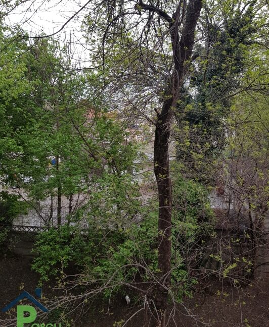 20190409_191541_1555080885