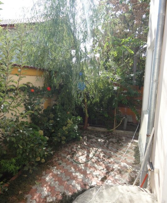 curte_interioara_1318601211