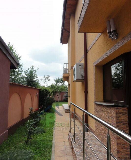dsc00701_1374151966