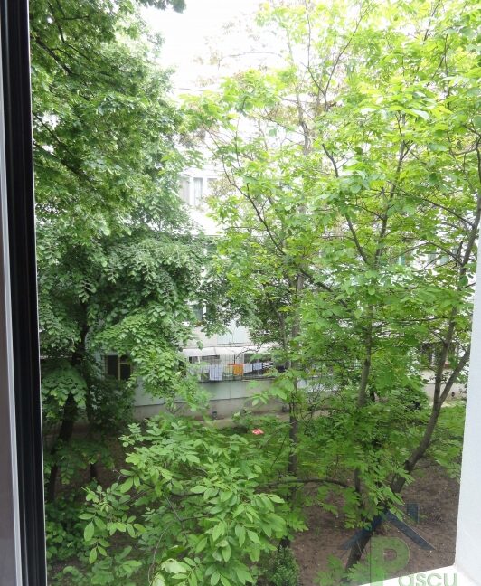dsc03813_1399361963