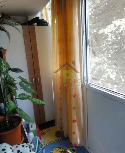 dsc05686_1406557933