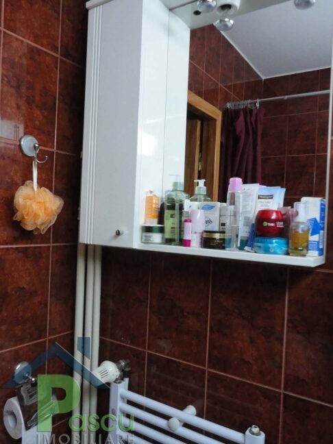 grup_sanitar_apartament_4_camere_brancoveanu_pascu_imobiliare_1507205252