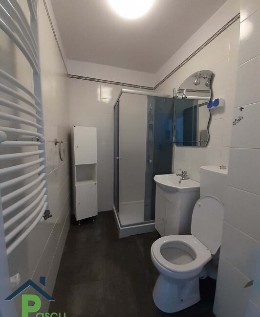 inchiriere_ap_2_cam_sos__giurgiului__piata_progresu__mobilat_si_utilat__pascu_imobiliare_9_1621940299