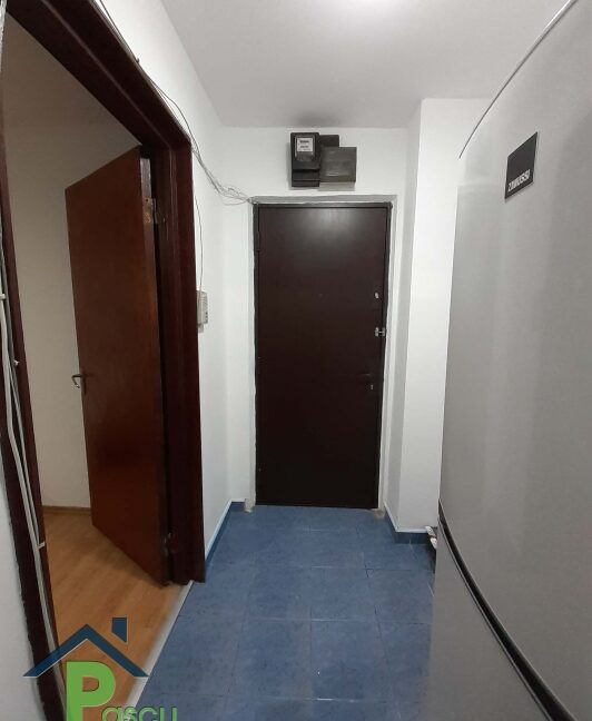 inchiriere_ap__2_cam_luica__mobilat_si_utilat_6_1613662712