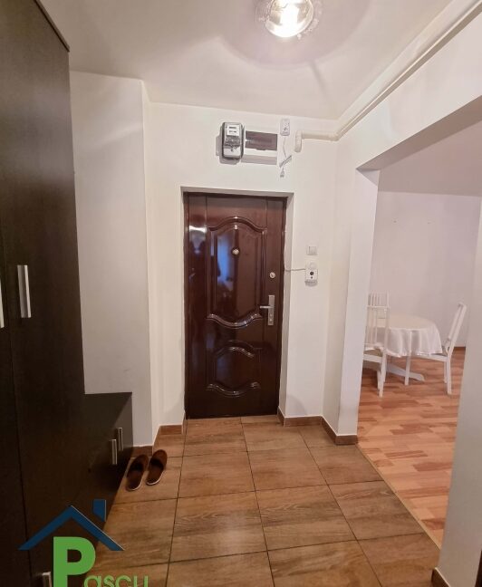 inchiriere_ap__2_camere_titan__aleea_ciucea__mobilat_si_utilat_modern__cf__i__pascu_imobiliare__11_1625649112