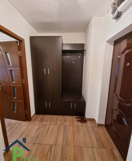 inchiriere_ap__2_camere_titan__aleea_ciucea__mobilat_si_utilat_modern__cf__i__pascu_imobiliare__12_1625649113