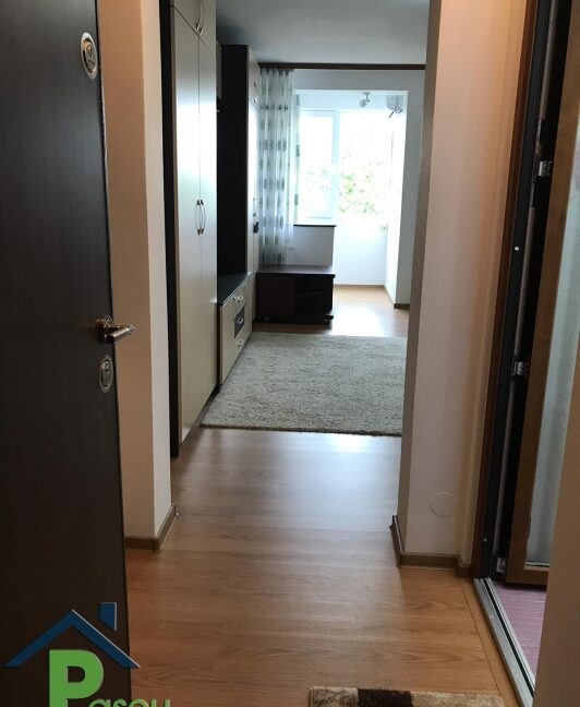 inchiriere_garsoniera_berceni__turnu_magurele__stradal__recent_renovata__mobilata__pascu_imobiliare__10_1589808492