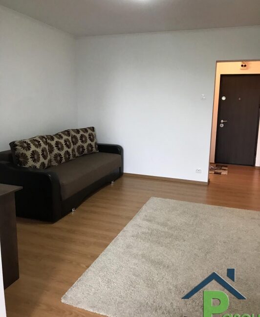 inchiriere_garsoniera_berceni__turnu_magurele__stradal__recent_renovata__mobilata__pascu_imobiliare__5_1589808492
