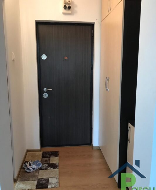 inchiriere_garsoniera_berceni__turnu_magurele__stradal__recent_renovata__mobilata__pascu_imobiliare__9_1589808492