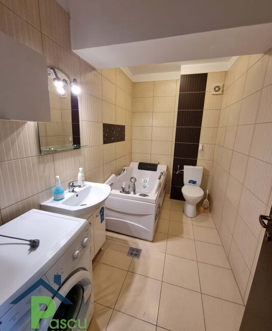 inchiriere_garsoniera_tineretului__parc__metrou_constantin_brancoveanu__amfiteatru_residence__11_1619005398