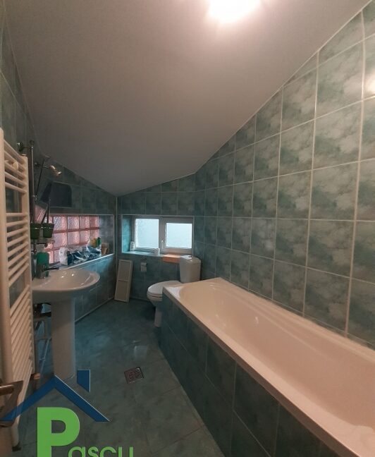 inchiriere_vila_bd-ul_timisoara__plaza_mall__p_1__ideal_birouri__clinica__pascu_imobiliare__11_1605526997
