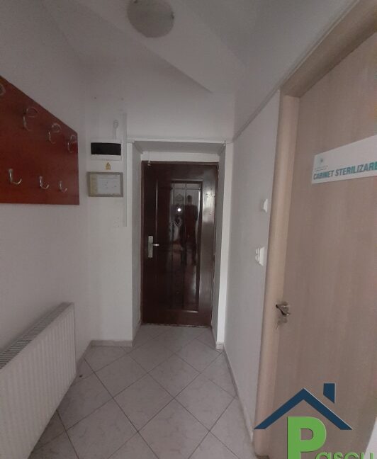 inchiriere_vila_bd-ul_timisoara__plaza_mall__p_1__ideal_birouri__clinica__pascu_imobiliare__12_1605526997