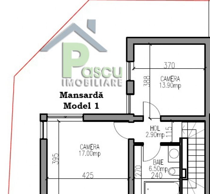 mansarda_1_vila_alunisului_1402135771
