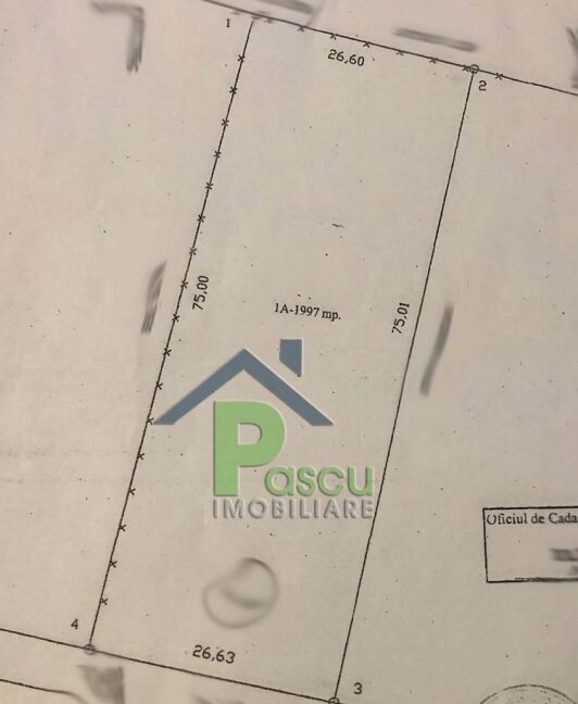schita_teren_burnitei__pascu_imobiliare_1527071806