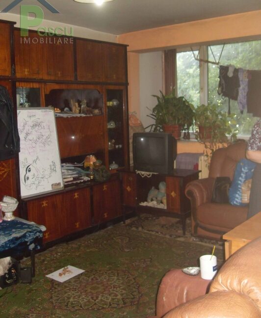 sdc13000_1464691121