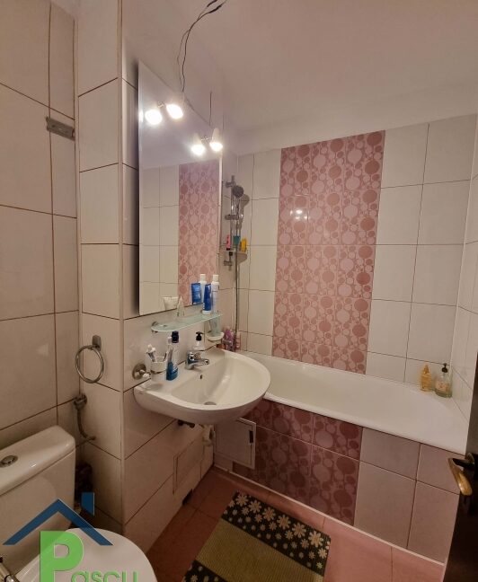 vanzare_ap__2_camere_tineretului__str__trestiana__pascu_imobiliare_6_1662991310