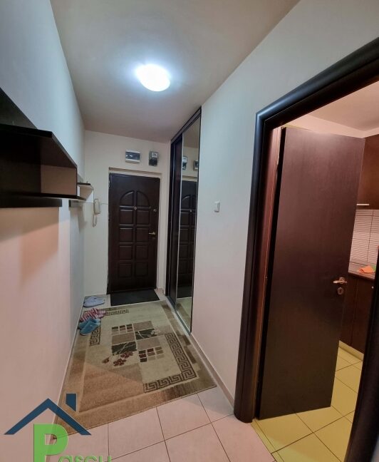 vanzare_ap__2_camere_tineretului__str__trestiana__pascu_imobiliare_8_1662991313
