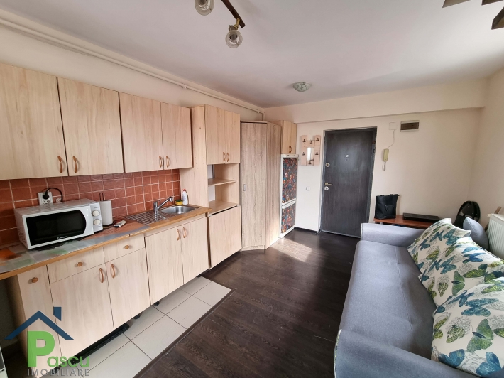 vanzare_apartament_2_camere_brancoveanu__str__prasilei__cf__ii__mansarda__pascu_imobiliare__3_1618858065