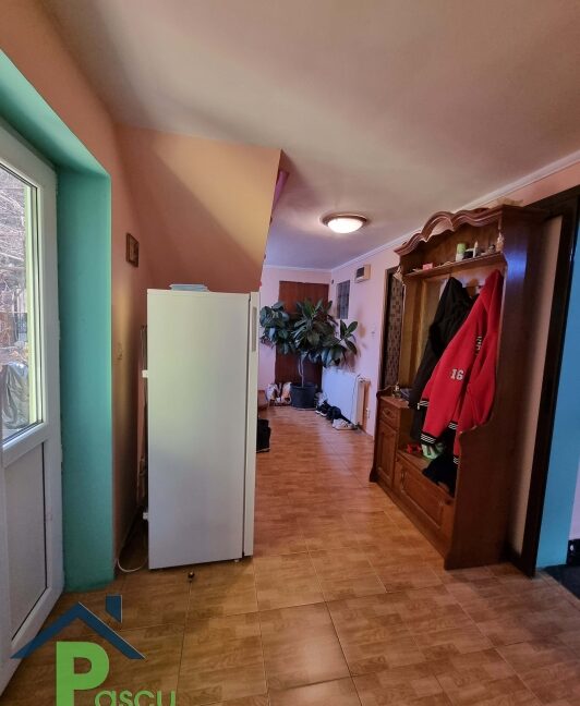 vanzare_vila_brancoveanu__str__fagetului__p_1_m__180_mpu__teren_225_mp__10_1644236560