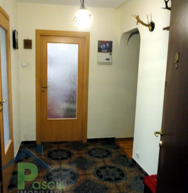 vestibul_apartament_4_camere_brancoveanu_pascu_imobiliare_1507205271